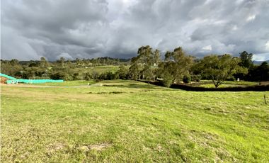 Venta Lote Parcelacion Alto Palmas