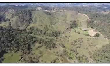 Vendo Finca 65 Cuadras Cocorna