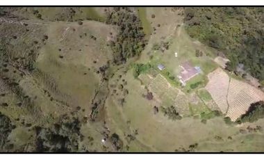 Vendo Finca 65 Cuadras Cocorna