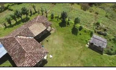 Vendo Finca 65 Cuadras Cocorna