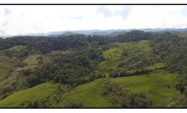 Vendo Finca 65 Cuadras Cocorna