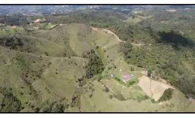 Vendo Finca 65 Cuadras Cocorna
