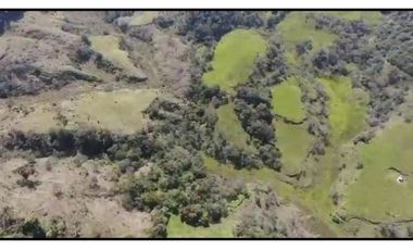 Vendo Finca 65 Cuadras Cocorna