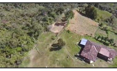 Vendo Finca 65 Cuadras Cocorna
