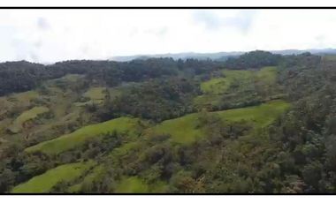 Vendo Finca 65 Cuadras Cocorna