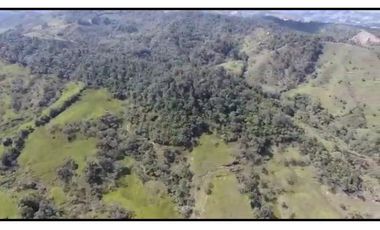 Vendo Finca 65 Cuadras Cocorna