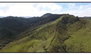 Vendo Finca 65 Cuadras Cocorna