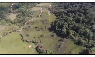 Vendo Finca 65 Cuadras Cocorna