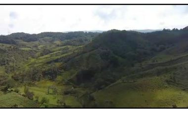 Vendo Finca 65 Cuadras Cocorna