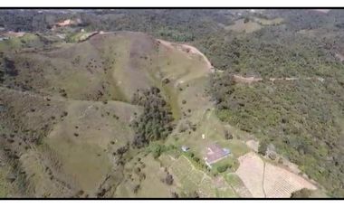 Vendo Finca 65 Cuadras Cocorna