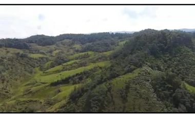 Vendo Finca 65 Cuadras Cocorna