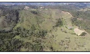 Vendo Finca 65 Cuadras Cocorna
