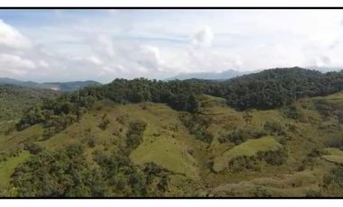 Vendo Finca 65 Cuadras Cocorna