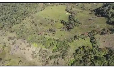 Vendo Finca 65 Cuadras Cocorna