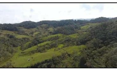 Vendo Finca 65 Cuadras Cocorna