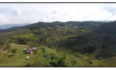 Vendo Finca 65 Cuadras Cocorna