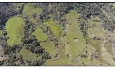 Vendo Finca 65 Cuadras Cocorna