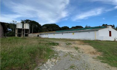 Vendo Finca Ganadera 66 cuadras Alto Boquerón