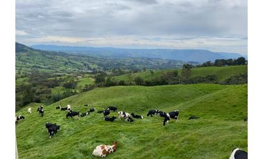 Vendo Finca Ganadera 66 cuadras Alto Boquerón