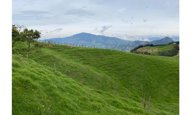 Vendo Finca Ganadera 66 cuadras Alto Boquerón
