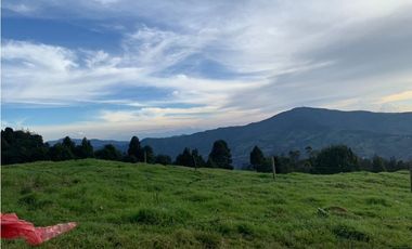 Vendo Finca Ganadera 66 cuadras Alto Boquerón