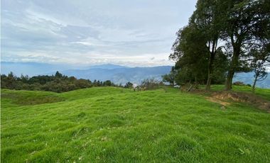 Vendo Finca Ganadera 66 cuadras Alto Boquerón