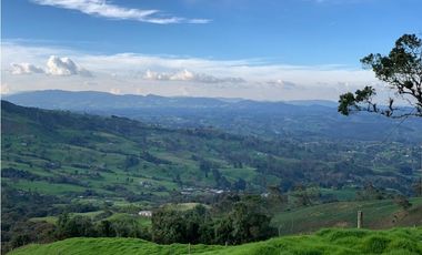 Vendo Finca Ganadera 66 cuadras Alto Boquerón