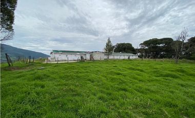 Vendo Finca Ganadera 66 cuadras Alto Boquerón