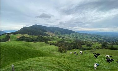Vendo Finca Ganadera 66 cuadras Alto Boquerón