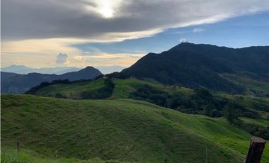 Vendo Finca Ganadera 66 cuadras Alto Boquerón