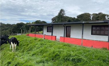 Vendo Finca Ganadera 66 cuadras Alto Boquerón