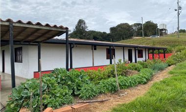 Vendo Finca Ganadera 66 cuadras Alto Boquerón