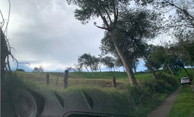 Vendo Finca Ganadera 66 cuadras Alto Boquerón