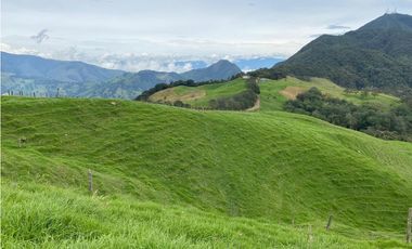 Vendo Finca Ganadera 66 cuadras Alto Boquerón