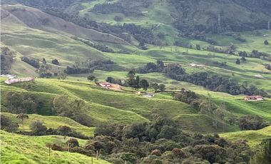 Vendo Finca Ganadera 66 cuadras Alto Boquerón