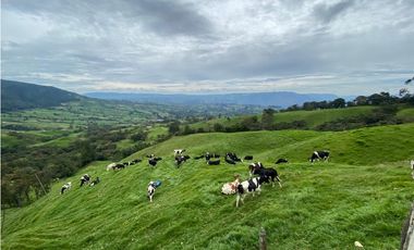 Vendo Finca Ganadera 66 cuadras Alto Boquerón