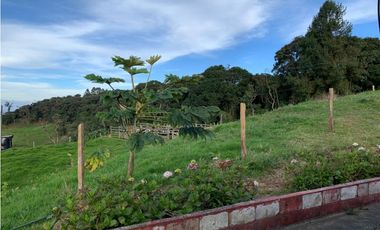 Vendo Finca Ganadera 66 cuadras Alto Boquerón