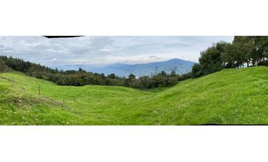 Vendo Finca Ganadera 66 cuadras Alto Boquerón