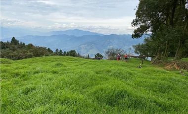Vendo Finca Ganadera 66 cuadras Alto Boquerón