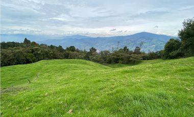 Vendo Finca Ganadera 66 cuadras Alto Boquerón