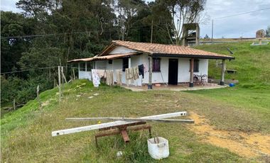 Vendo Finca Ganadera 66 cuadras Alto Boquerón