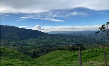 Vendo Finca Ganadera 66 cuadras Alto Boquerón