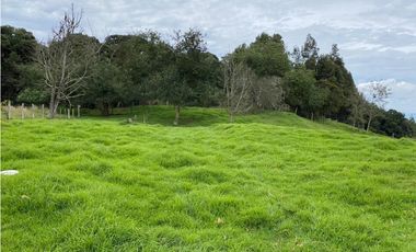 Vendo Finca Ganadera 66 cuadras Alto Boquerón