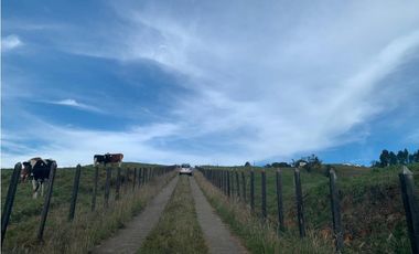 Vendo Finca Ganadera 66 cuadras Alto Boquerón