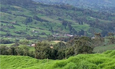 Vendo Finca Ganadera 66 cuadras Alto Boquerón