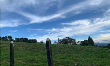 Vendo Finca Ganadera 66 cuadras Alto Boquerón