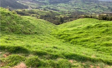 Vendo Finca Ganadera 66 cuadras Alto Boquerón