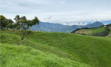 Vendo Finca Ganadera 66 cuadras Alto Boquerón