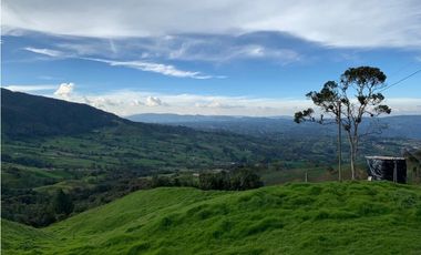 Vendo Finca Ganadera 66 cuadras Alto Boquerón
