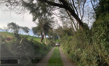 Vendo Finca Ganadera 66 cuadras Alto Boquerón